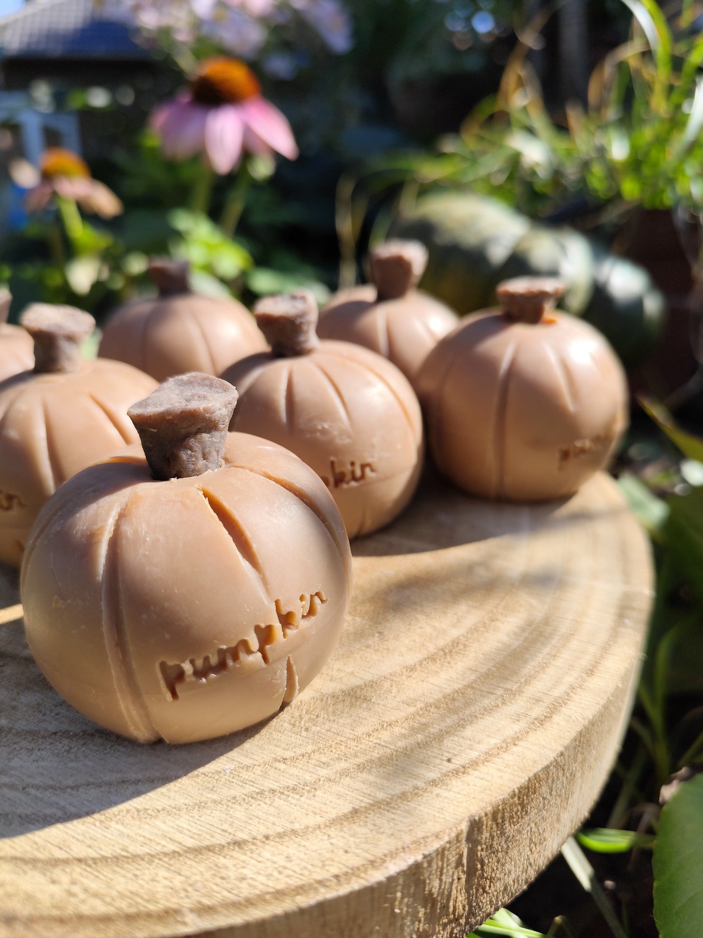 Pumpkin pie