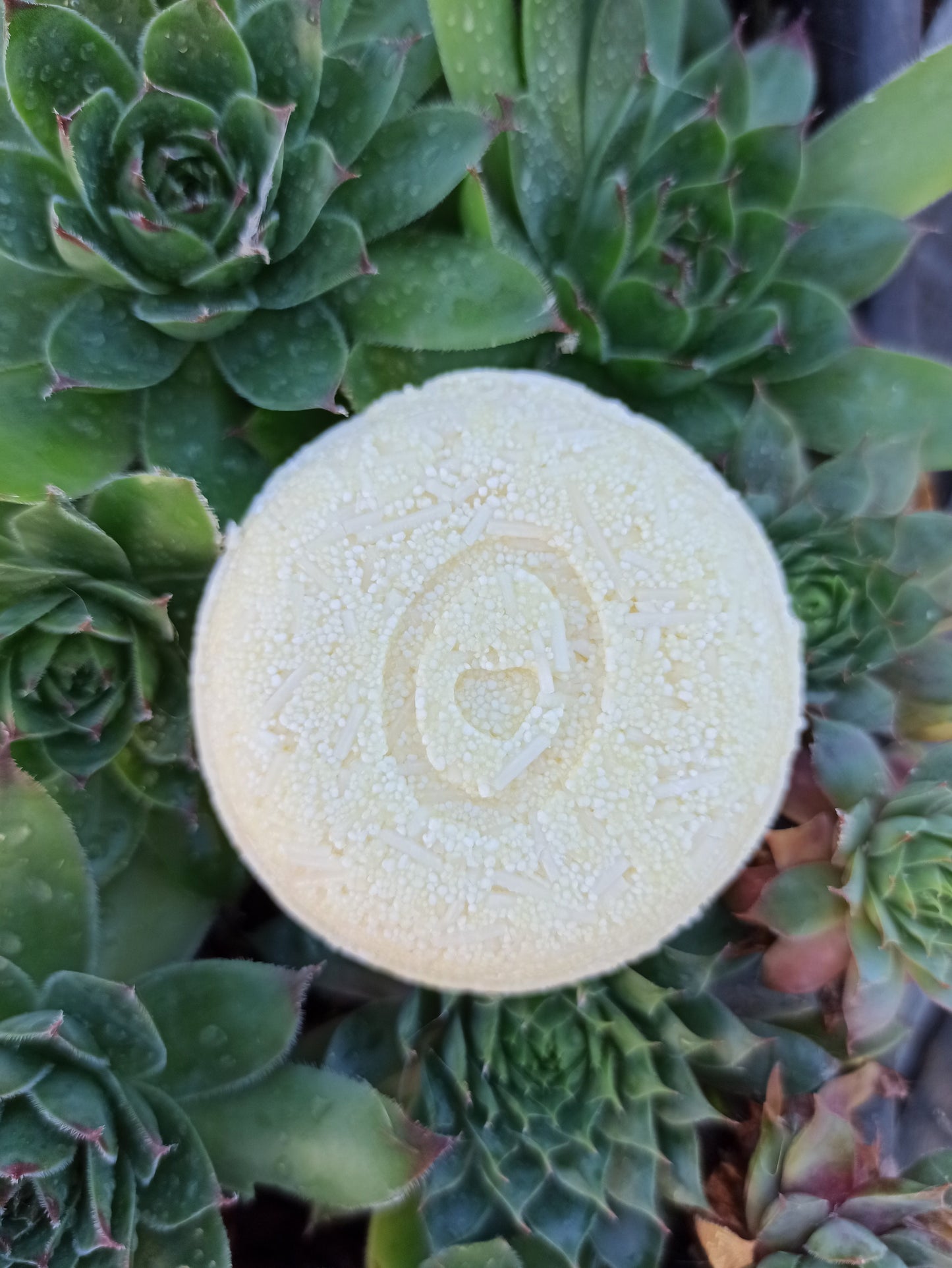 Hickory dió sampon férfiaknak