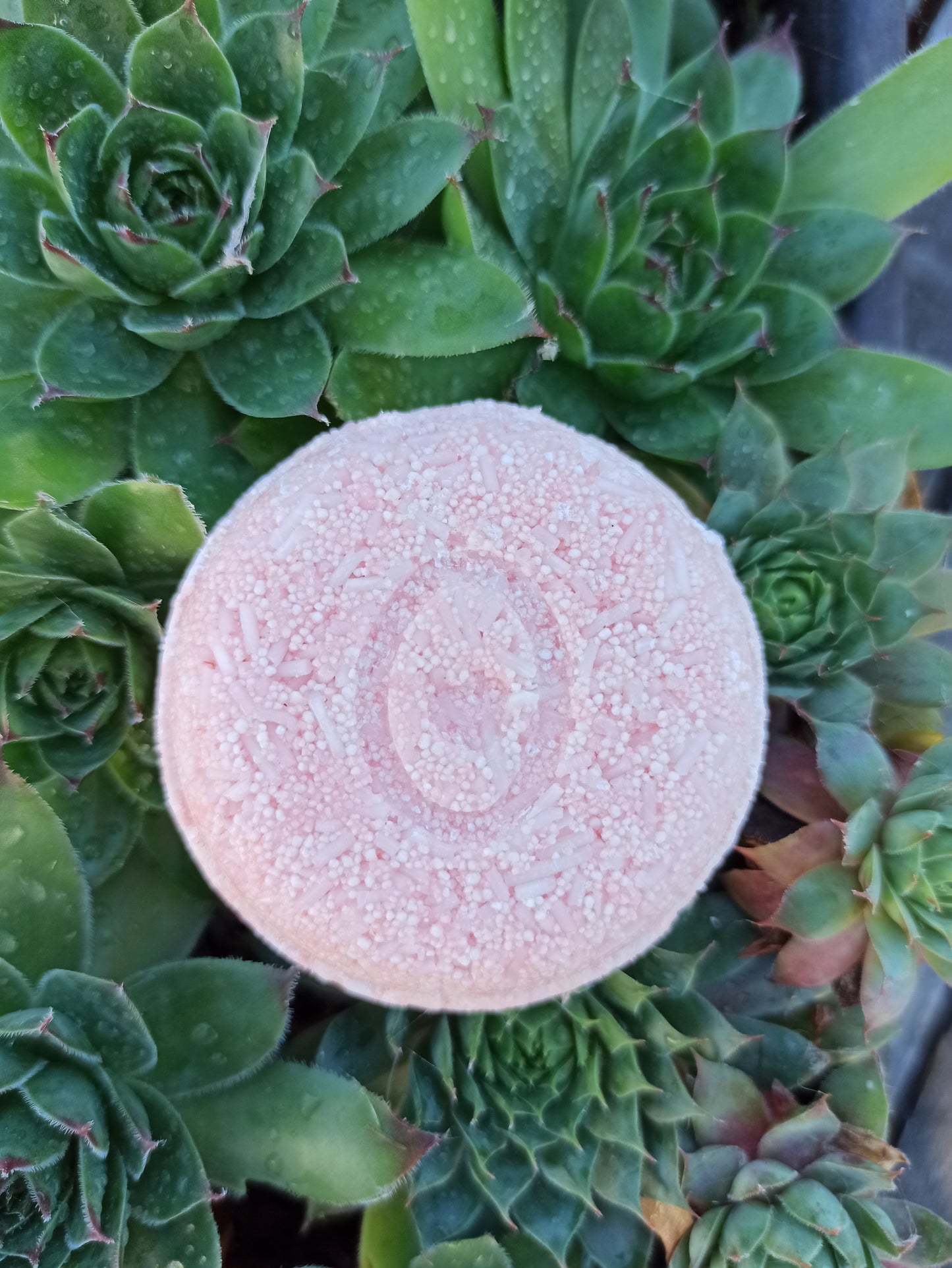 Pink petals szilárd sampon