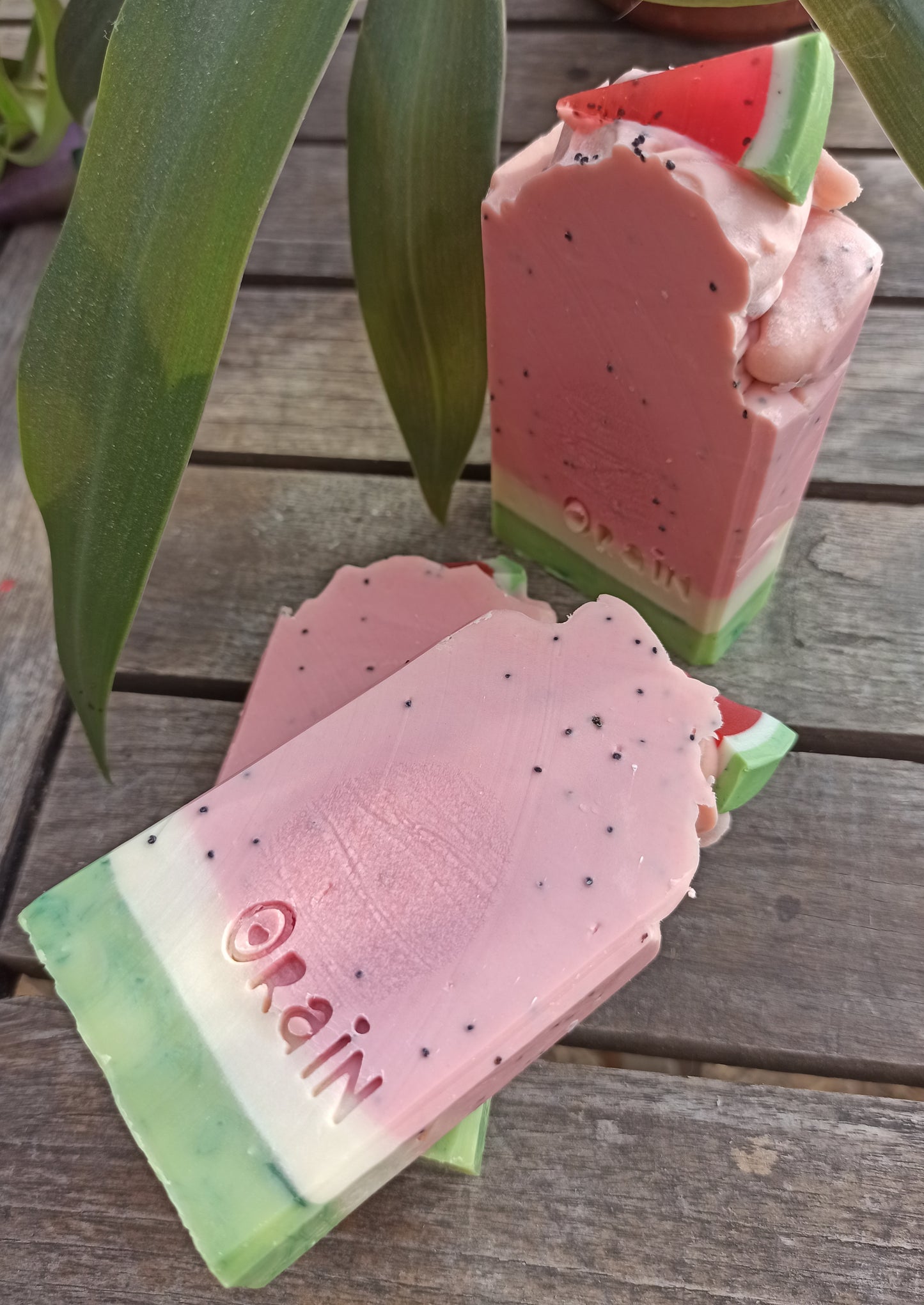 Dinnye đ