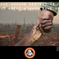 Az Orain termékek miért pálmaolaj mentesek?