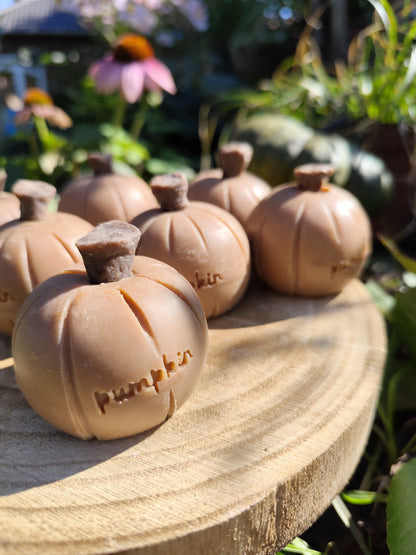 Pumpkin pie