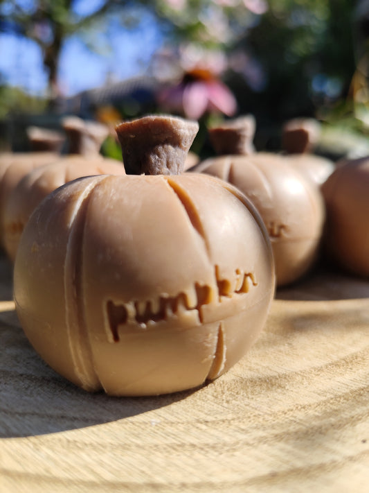 Pumpkin pie