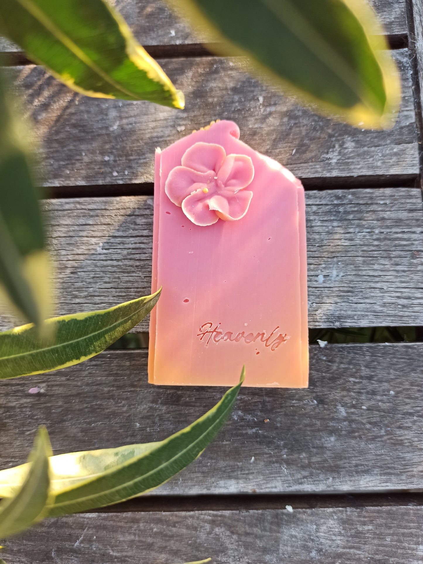 Mézes lonc (Heavenly honeysuckle)