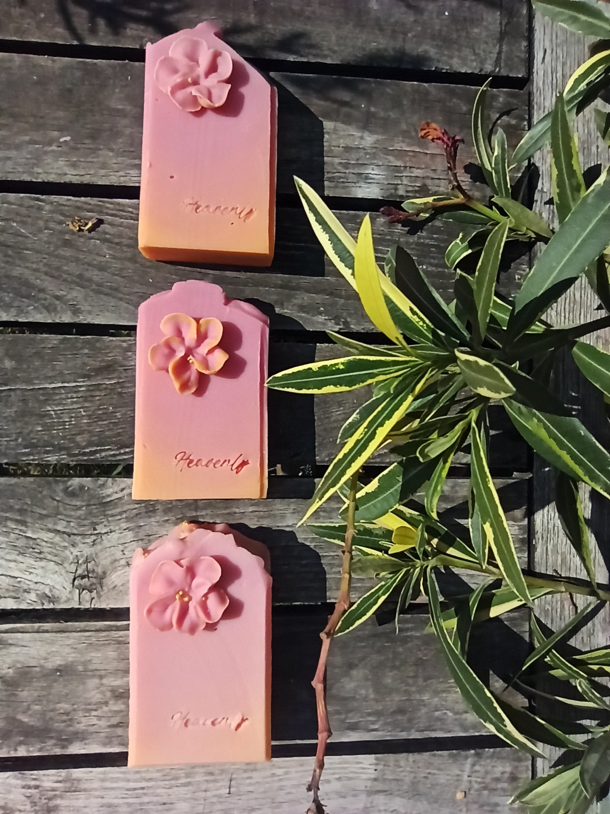 Mézes lonc (Heavenly honeysuckle)