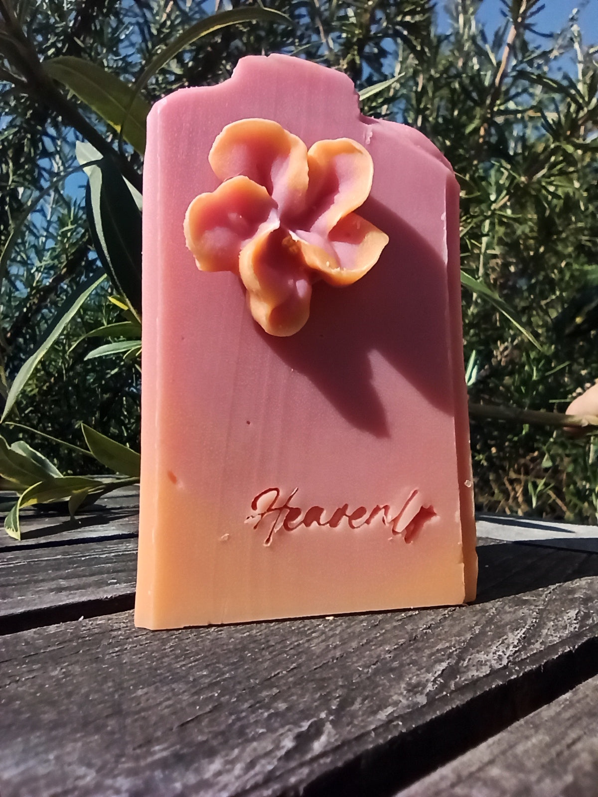 Mézes lonc (Heavenly honeysuckle)